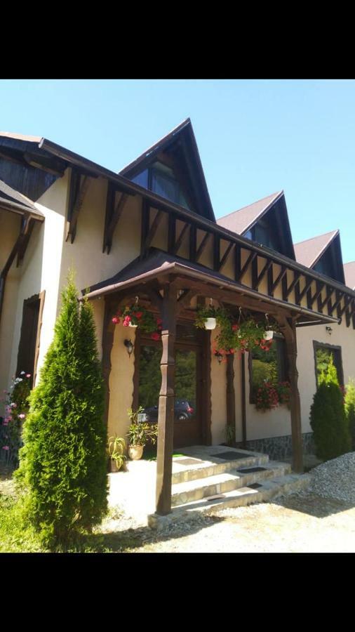 Pensiunea Valea Cu Salcami วิโชเดโจส ภายนอก รูปภาพ