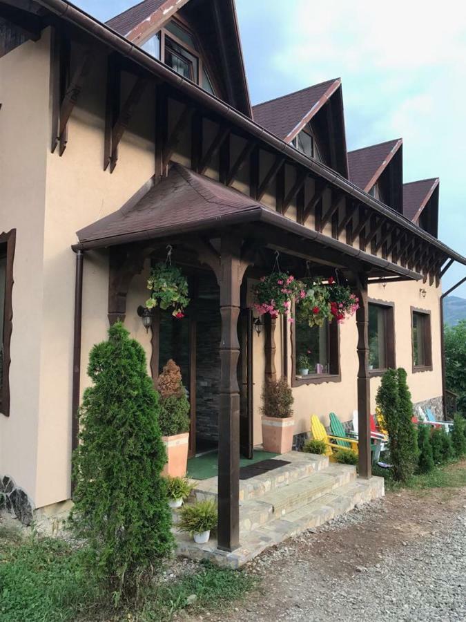 Pensiunea Valea Cu Salcami วิโชเดโจส ภายนอก รูปภาพ